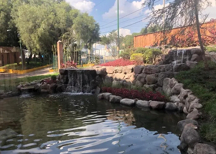 Oliver - Tlalnepantla